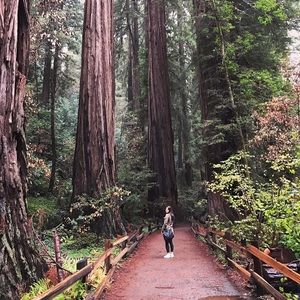 Meet your Posher, Ana